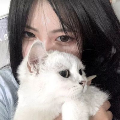 梦幻无双手游下载