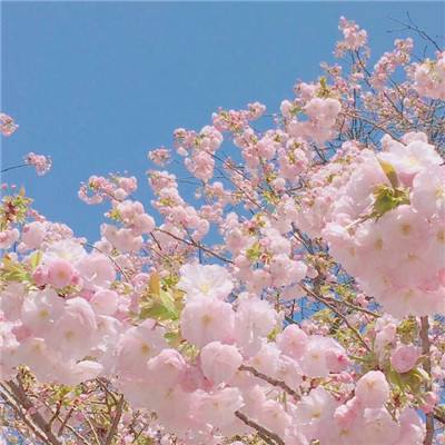 九游炼神客户端下载