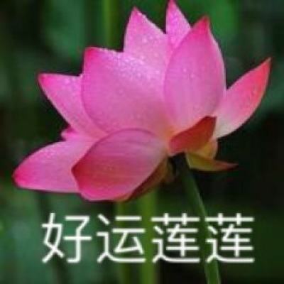 仙风道骨手游果盘版下载